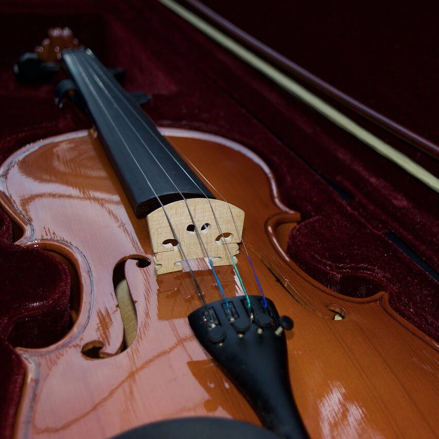 violin-1136986_1280.jpg